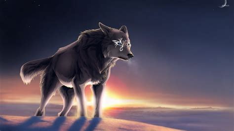 Magical Wolf At Sunset Wallpaper Fantasy Wallpapers 52093
