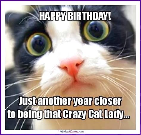 Happy Birthday Memes With Funny Cats Dogs And Cute