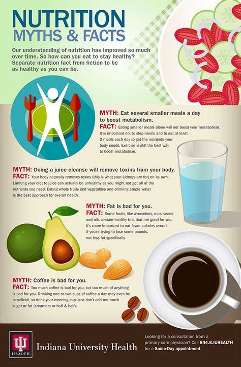 Nutrition Myths And Facts Infographic Nutrition How To Stay Healthy