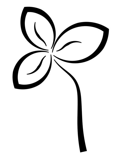 Free Black And White Flower Images Download Free Black And White