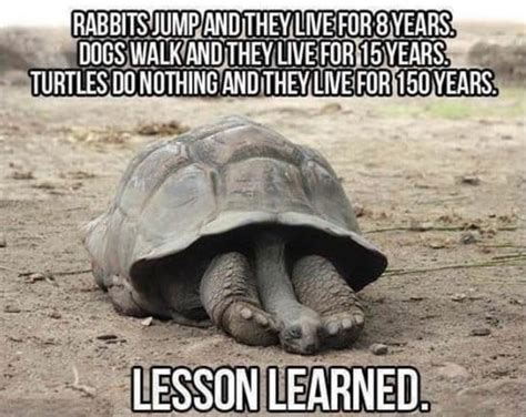 Funny Best Lesson Of My Life Jokes Funny Pictures Meme