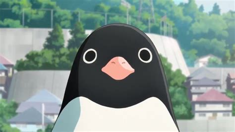 Recommendations For My Otaku Spouse Penguin Highway