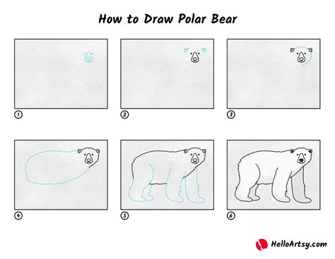 How To Draw Polar Bear Helloartsy