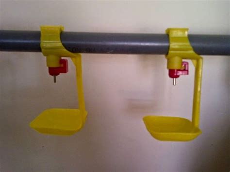 We did not find results for: PERALATAN KANDANG AYAM - ALAT KANDANG PETELUR DAN PEDAGING ...