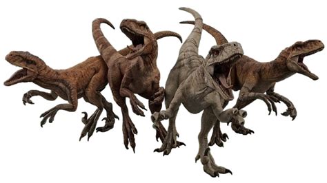 Atrociraptor Jurassic Park Wiki Fandom