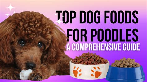 5 Best Dog Foods For Poodles Our Top Picks 2023 Guide