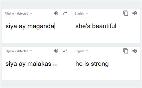 Google Translate to Remove Gender Bias in Translations