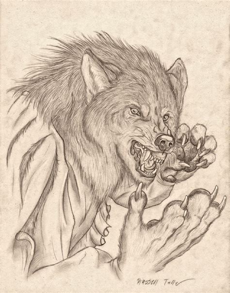 Werewolf Sketches Werewolf Drawing Sketches Character Art Images And