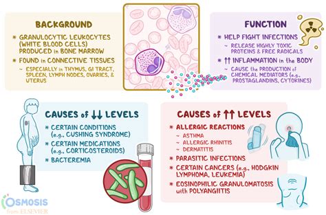 High Low Absolute Eosinophil Count Functions