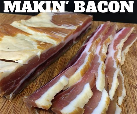Makin Bacon A Guide To Cold Smoking Bacon 7 Steps With Pictures