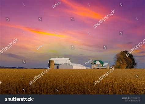Fall Midwest Barn Over 553 Royalty Free Licensable Stock Photos