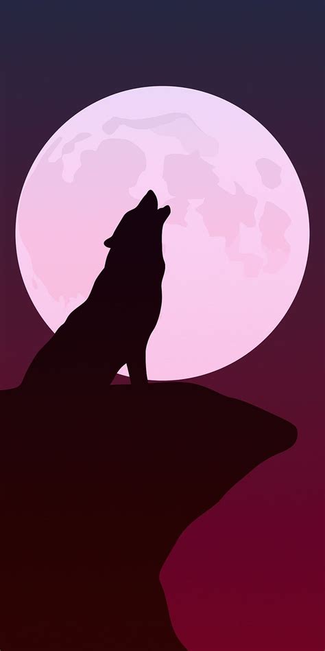 Howling Wolf Silhouette Minimal Wolf Hd Phone Wallpaper Pxfuel