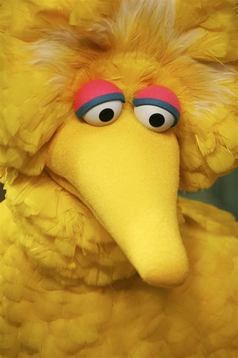 Big Bird Actor Caroll Spinney Leaving Sesame Street After Nearly 50
