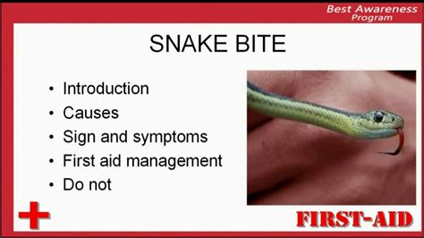 Introduction Of Snake Bite What Is Snake Bite Definition Of Snake