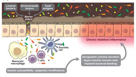 Figure 1 From New Insights Into The Pathophysiology Of Inflammatory