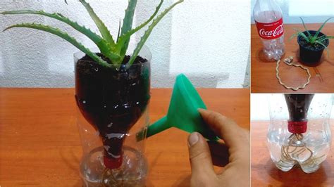 How To Make Self Watering System For Plants Using Plastic Bottle Youtube