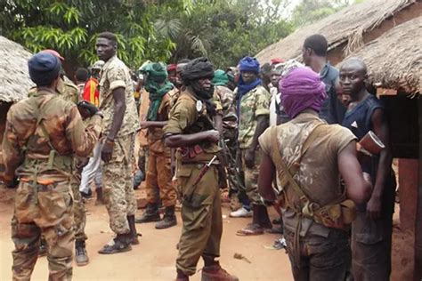 Centrafrique La Seleka Prépare Une Offensive Vers Le Sud