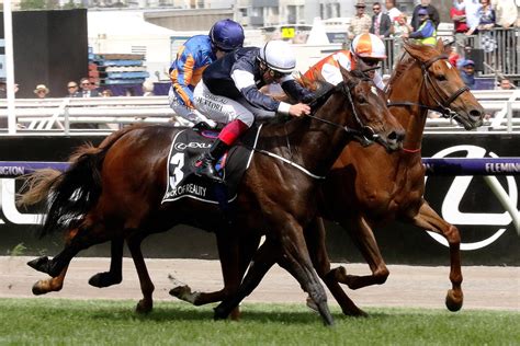 How Dramatic Interference Helped Australia Land The 2019 Melbourne Cup
