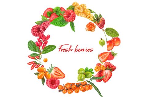 Fresh berries vector illustration on Behance | Fresh berries, Berries, Vector illustration