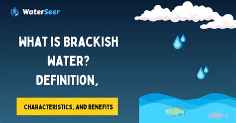 What Is Brackish Water Characteristics And Benefits