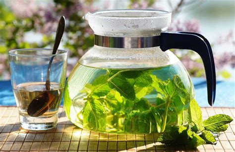 Jadi selalu konsumsi teh hijau setiap hari. Review 10 Rekomendasi Teh Hijau untuk Diet Terbaik ...