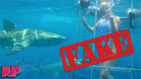 Porn Star Viral Shark Video Was Totally Fake Youtube