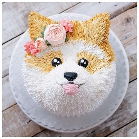 Last week was my dog's birthday! Dog Cake Ideas For Birthdays Pinterest Best Video Tutorial | Puppy cake, Dog cakes, Animal cakes