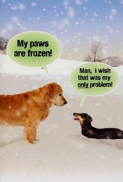 Nobleworks Paws Are Frozen Box Of 12 Funny Dog Christmas