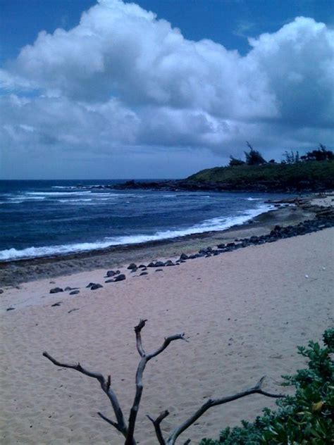 The Beach In Kihea Maui Hawaii Homes Molokai See It Sea Life Maui