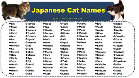 Japanese Cat Names Funny Cute And Kitten Vocabulary Point