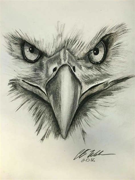Pencil Drawings Eagle Pencildrawing2019