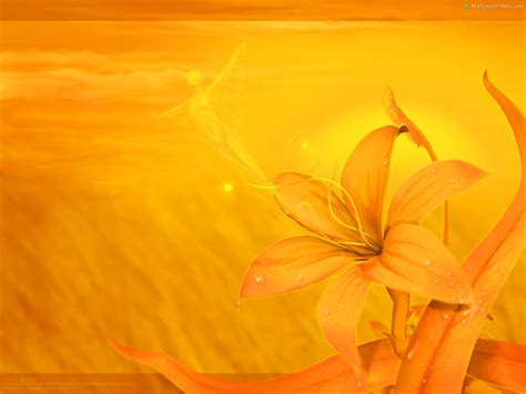 Free Download Best Yellow Flowers Desktop Wallpapers Background