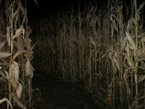 Haunted Corn Maze ~visit Upshur County~