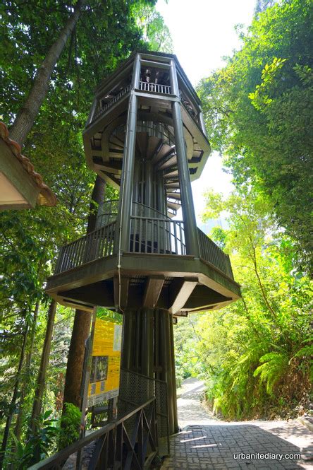 See all things to do. Bukit Nanas Forest Reserve / KL Forest Eco Park • Sassy ...