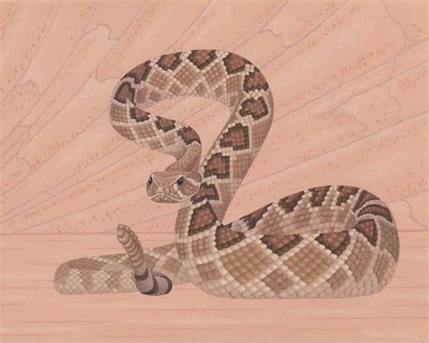 Western Diamondback Rattlesnake Wildlife Art Illustration Etsy In