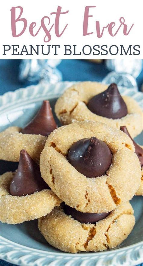 Besides, they are perfectly stored when frozen, so making it for the future is also a reasonable solution. Peanut Butter Blossoms Cookie Recipe {They Freeze Well and ...