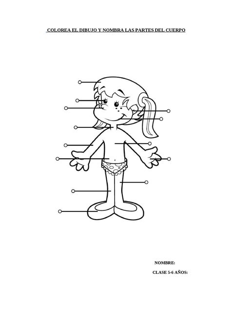 Calaméo Partes Del Cuerpo Humano