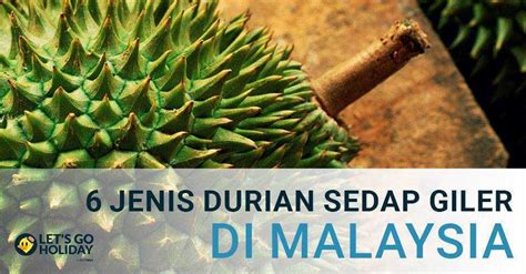 Buah ini juga terkenal dengan harga yang mahal. 6 Jenis Durian Anda Mesti Cuba dan Musim Durian Di ...