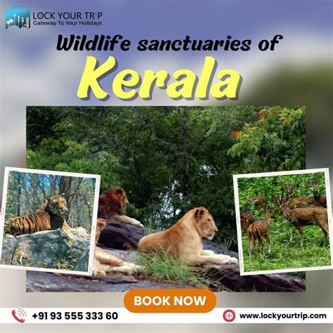 Breathtaking Wildlife Sanctuaries In Kerala For A Wild Adventure Bust