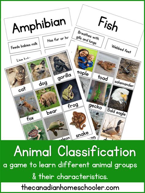 Animal Classification Printable A Matching Game