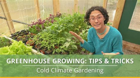 Learn How To Grow Vegetables In A Greenhouse With These Helpful Tips