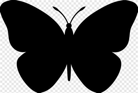Silhueta de borboleta borboleta folha escova Borboleta com pés png PNGEgg