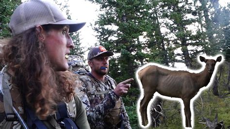Elk At 5 Feet Colorado Otc Elk Hunting Youtube