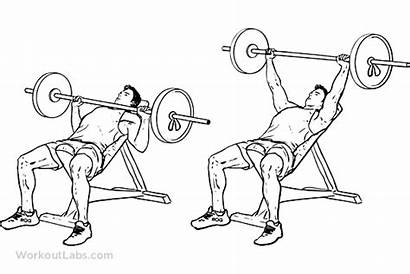Press Barbell Bench Incline Chest Workoutlabs Exercise