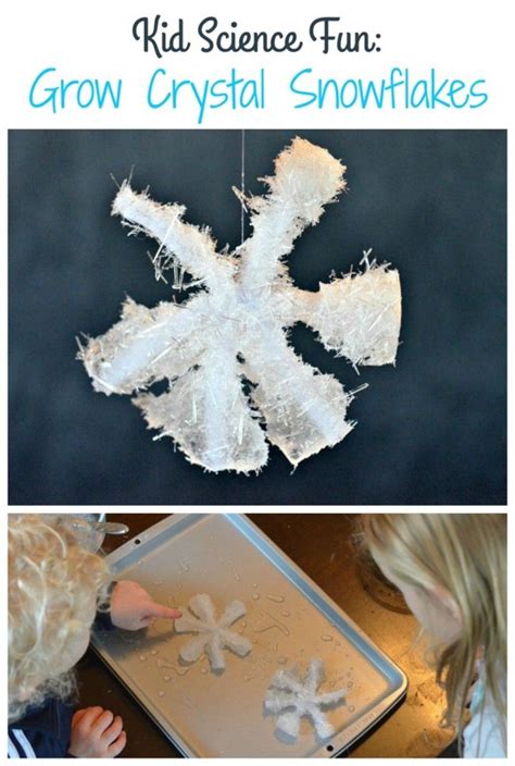 Home Snowflakes Science Growing Crystals Science For Kids