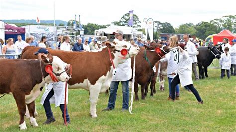 Traditional Agricultural Show In Heart Of Gloucestershire