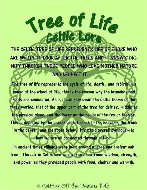 Tree Of Life Tree Of Life Tree Of Life Meaning Celtic Tree Of Life