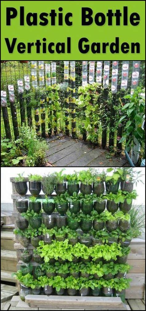 Grow Your Own Kitchen Garden By Making A Vertical Planter