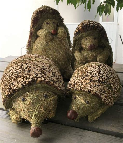 Igel Paar Natur 38 Cm Nature Hedgehog Pair Paire De Hérissons Nature Par De Erizos De La