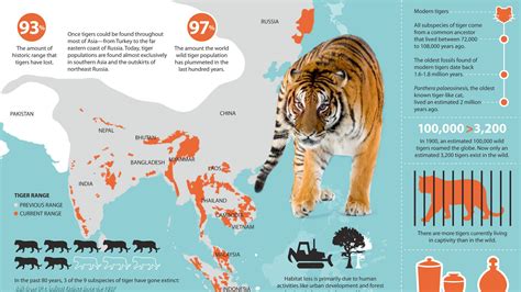 Tigers At The Tipping Point Fun Facts About Animals Animal Facts